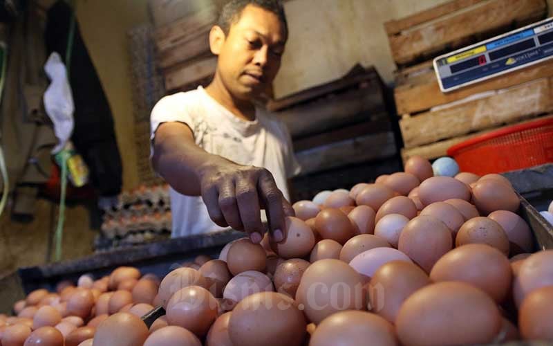 Harga Telur Ayam Meroket Jelang Tahun Baru, Tembus Rp35.000 Per Kilogram