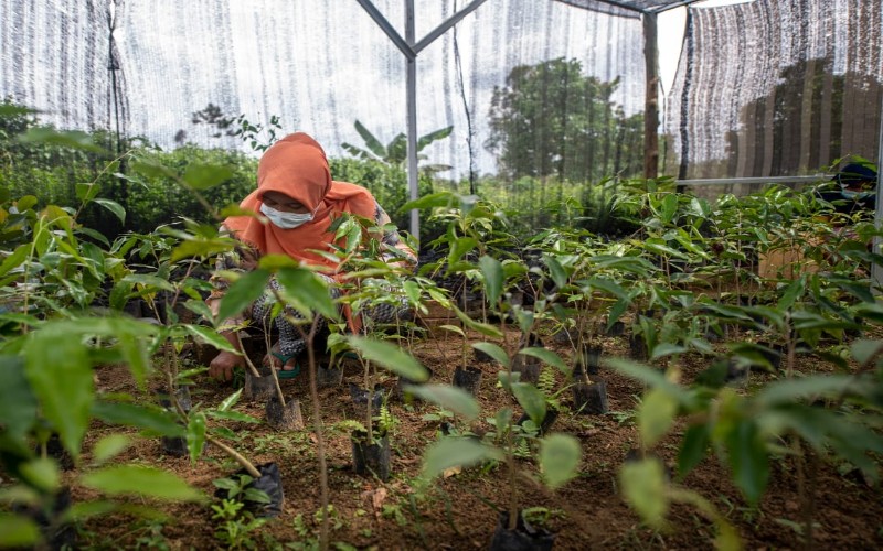  Yayasan Inisiatif Dagang Hijau dan APP Sinar Mas Laksanakan Restorasi Lanskap Sembilang