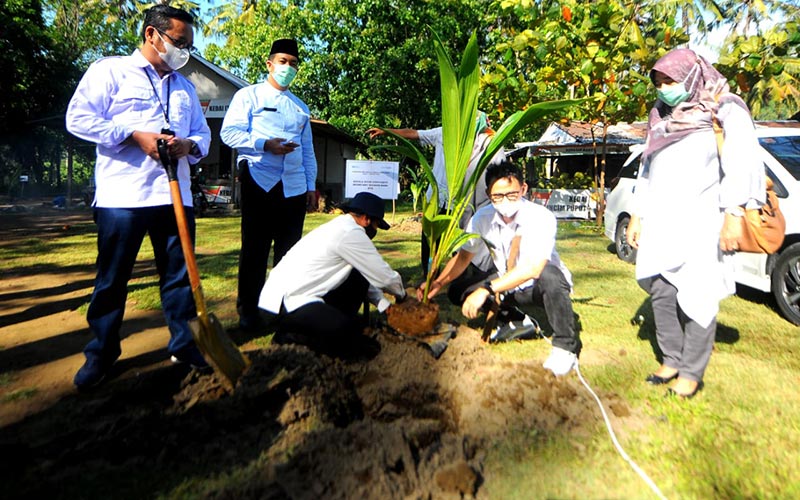  BTN Dorong Penanaman Bibit Kelapa Hibrida