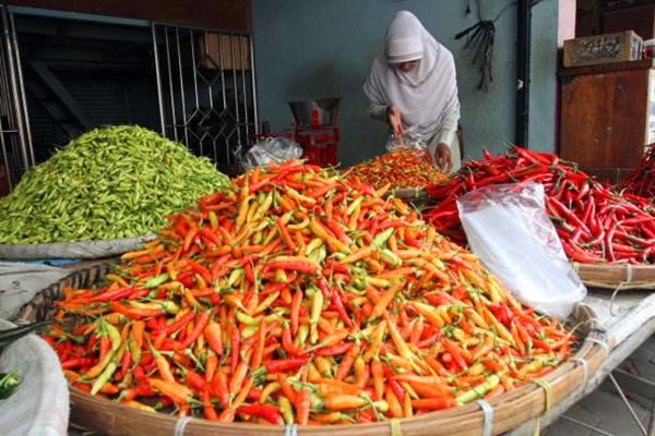  Harganya Sempat Rp85.000 per Kg, Cabai Rawit Sumbang Inflasi Kota Medan Desember 2021