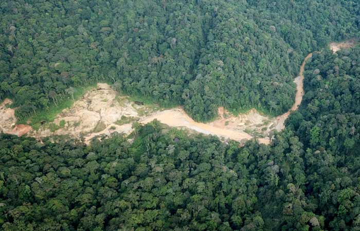  Ombudsman Temukan Potensi Maladministrasi dalam Perizinan Kawasan Hutan