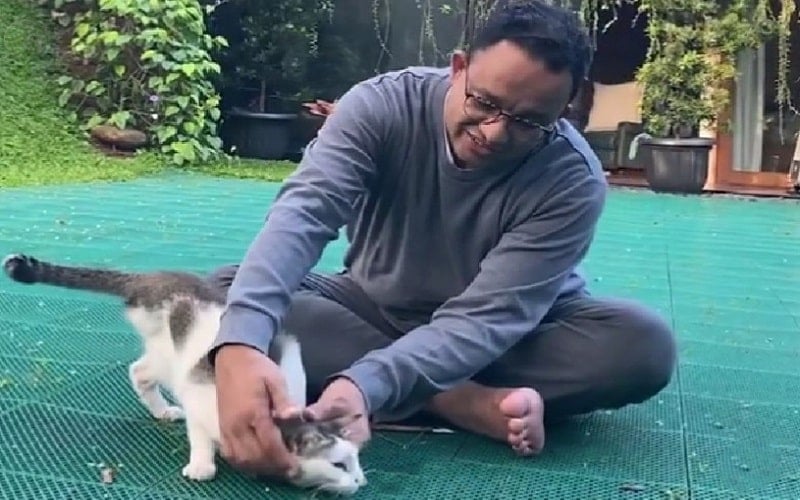  Anies Perkenalkan Lego, Kucing Berkaki Tiga Kesayangan Keluarganya