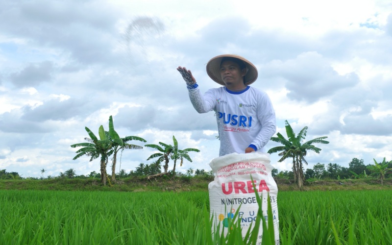  Total Alokasi Pupuk Subsidi untuk Sumut Tahun 2022 Sebanyak 520.193 Ton