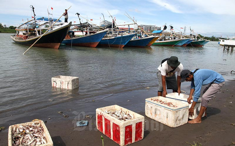  KKP Targetkan Nilai Ekspor Hasil Perikanan Mencapai US$7,12 Miliar Pada 2022