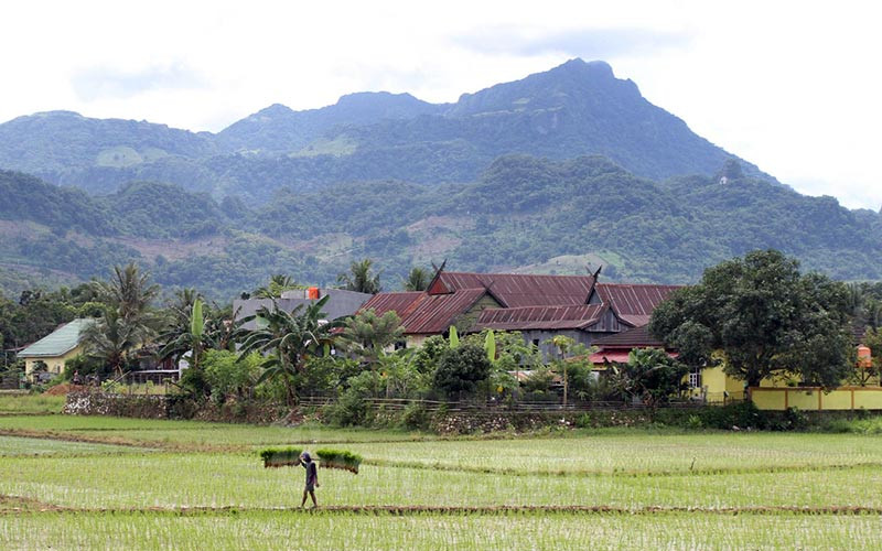  BPS Catat Kenaikan Nilai Tukar Petani di Sulawesi Selatan Sebesar 0,50 Persen Pada Desember 2021
