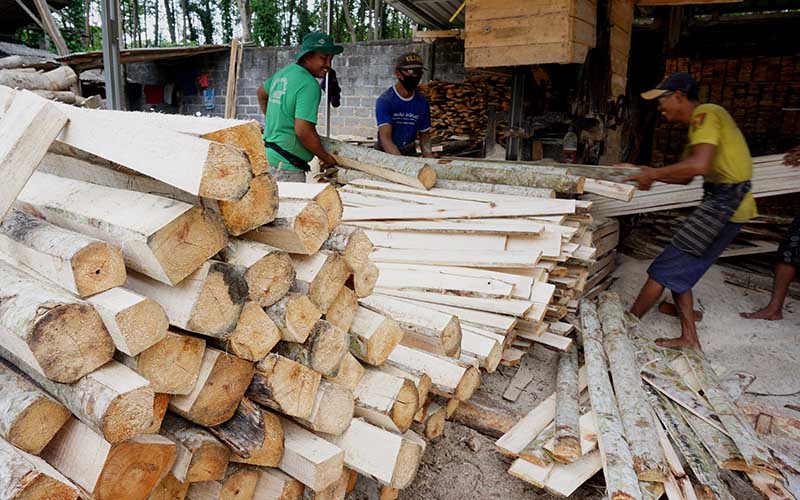 Pekerja menggergaji log kayu sengon menjadi menjadi produk papan sirap di sentra industri kayu olahan di Lumajang, Jawa Timur, Sabtu (17/7/2021). /Antara Foto-Destyan Sujarwoko-nz