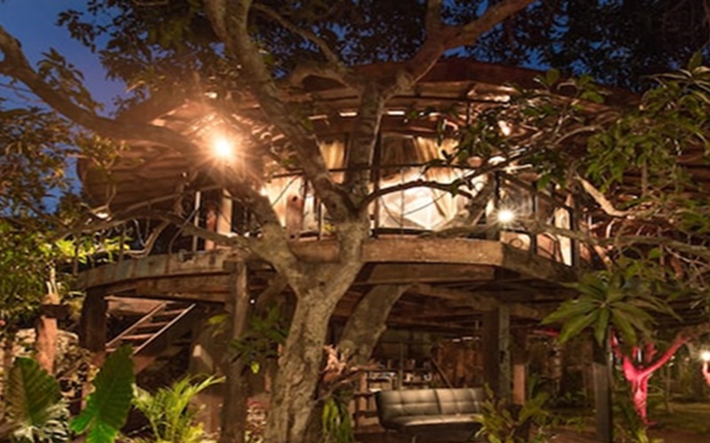 Rasakan Sensasi Menginap di 10 Rumah Pohon Terkeren di Bali 