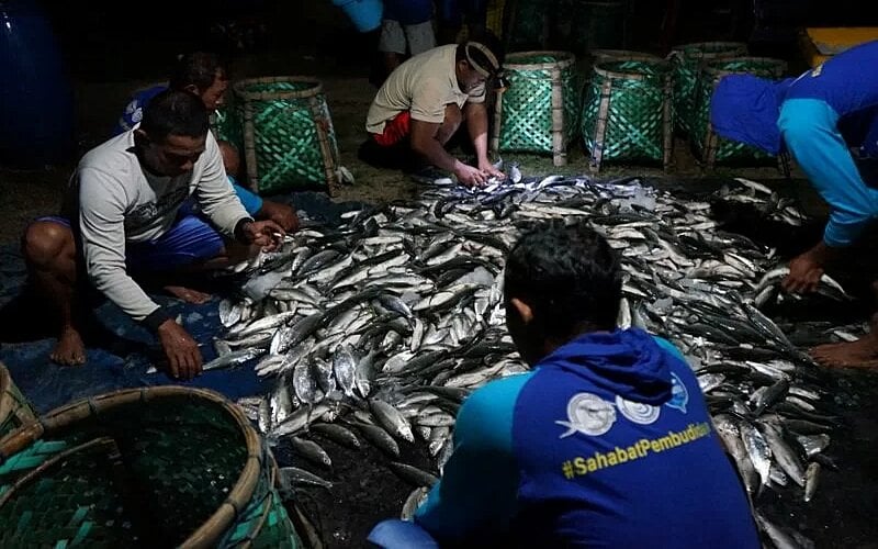  Budi Daya Bandeng Jepara Diproyeksi Berprospek Cerah