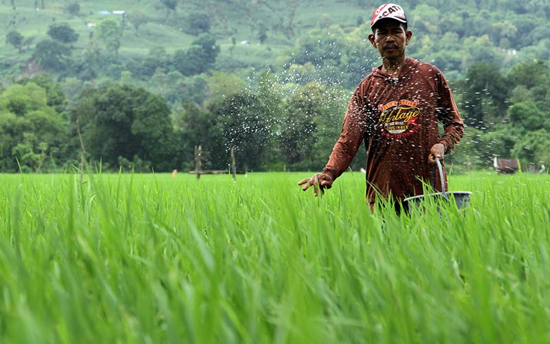  Kementan Tetapkan Alokasi Pupuk Bersubsidi 2022 Secara Nasional Sebesar 9,11 Juta Ton