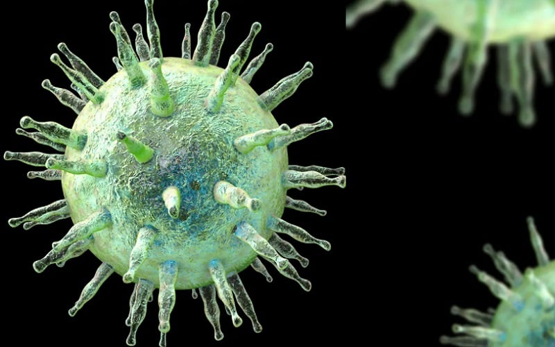  Studi Terbaru: Virus Herpes dapat Sebabkan Multiple Sclerosis