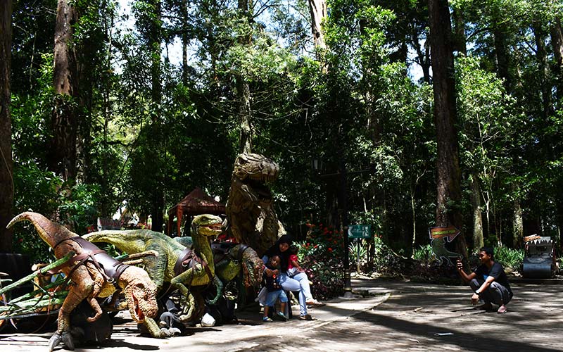  Kasawan Wisata Mojosemi Forest Park Magetan Jawa Timur Mulai Banyak Dikunjungi Wisatawan