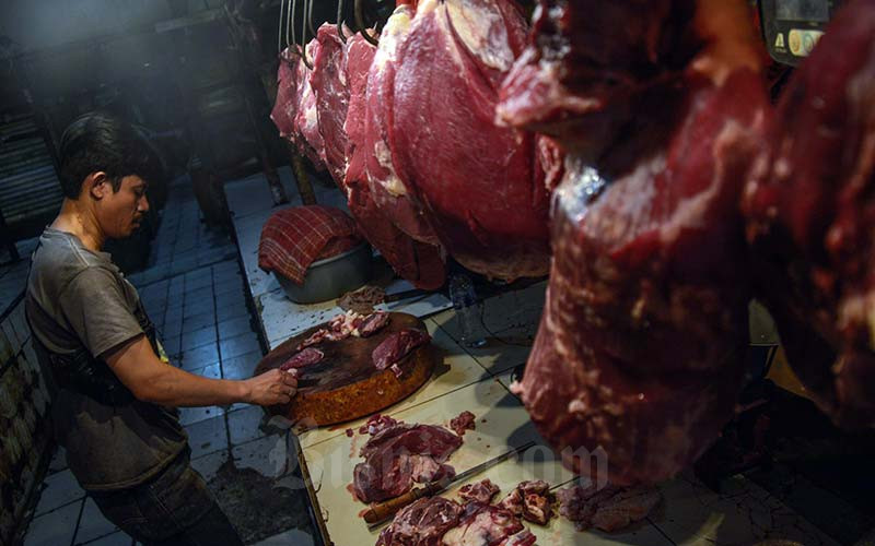  Kementan Menyatakan Volume Impor Daging Sapi Terus Mengalami Penurunan