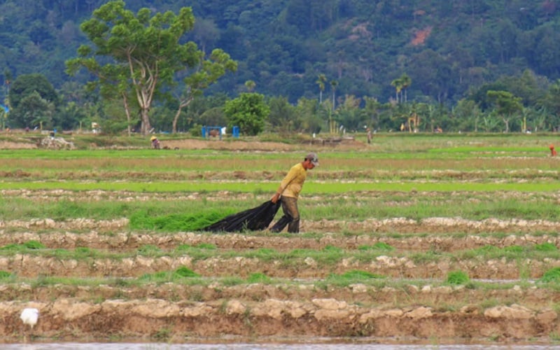  Sumbar Proyeksi Pertumbuhan Ekonomi 2022 Capai 5 Persen