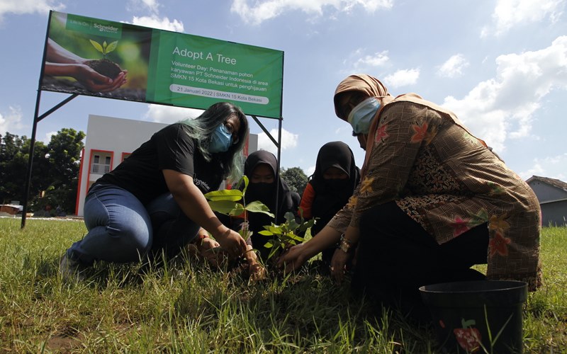  Jaga Lingkungan Sekolah Tetap Hijau dengan Program Adopt a Tree