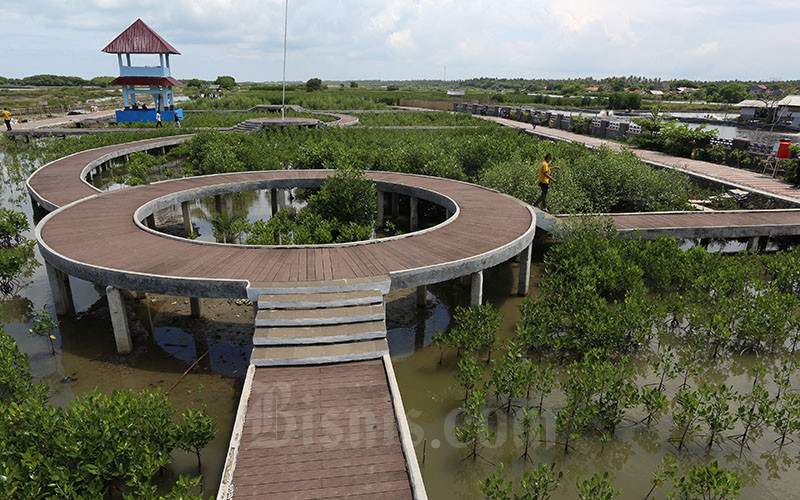  Sukses Kelola Kawasan Pesisir, Tangerang Siap Gelar Acara Internasional PEMSEA- PNLG