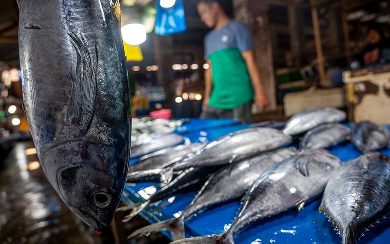  Cuaca Buruk Membuat Pasokan Ikan Laut di Pasar Berkurang Drastis