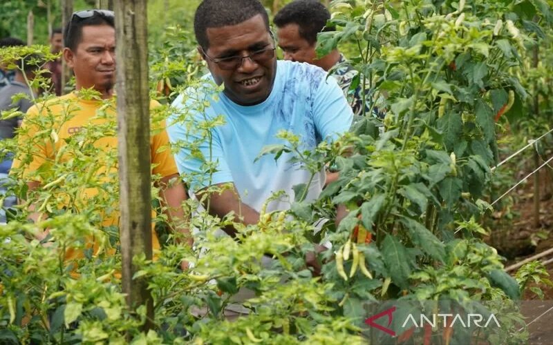  Kampung Pertanian Suneri jadi Agromina Wisata