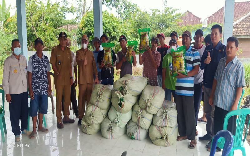  Pemkab OKI Gelontorkan 7.000 Kg Benih Padi untuk Petani Terdampak Banjir