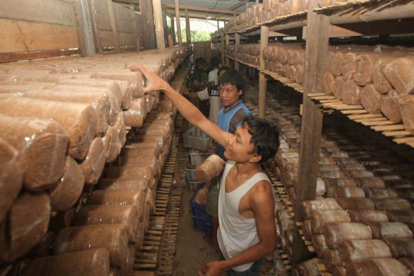  Sesuai Prediksi! Total Utang Industri Leasing Cuma Terkoreksi 1,5 Persen