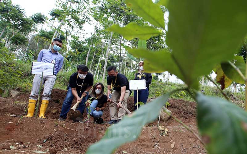  Bank BJB Lakukan Penanaman Bibit Pohon Kopi Di Kawasan Perbukitan Kaki Gunung Manglayang