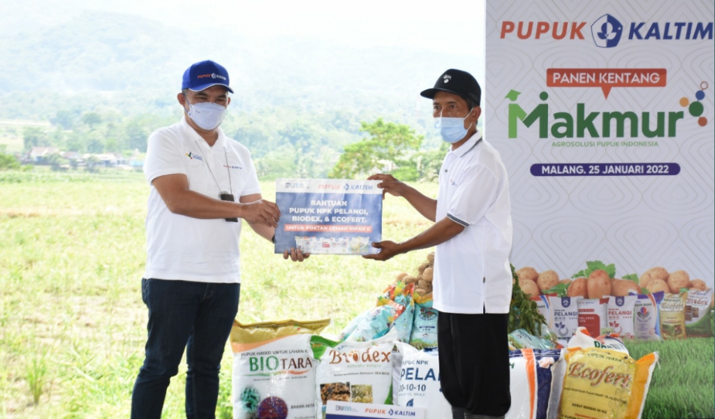  Program Makmur Pupuk Kaltim Tingkatkan Produktivitas Kentang di Malang Hingga 125 Persen