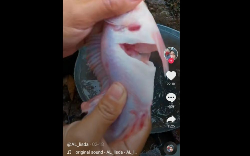  Kejadian Unik Ikan \'Hidup Kembali\' Padahal Sudah Dipotong dan Dimasak