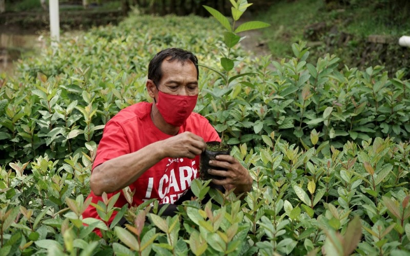  CCEP Kembangkan Coca Cola Forest di Jateng 