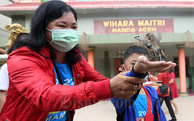  Tradisi Melepas Burung Pipit Saat Imlek