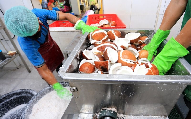  Hilirisasi Kelapa Bakal Dongkrak Ekonomi Riau