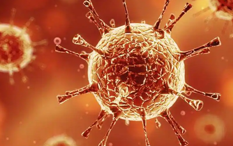 Ilustrasi virus Covid-19/Times of India rn