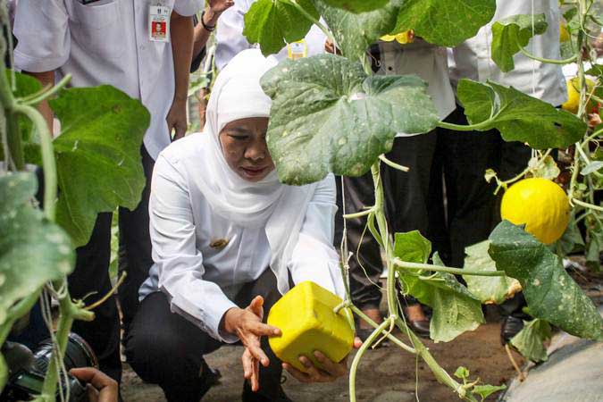  26.072 Petani Hutan di Jatim Akhirnya Bisa Manfaatkan Hutan Sosial