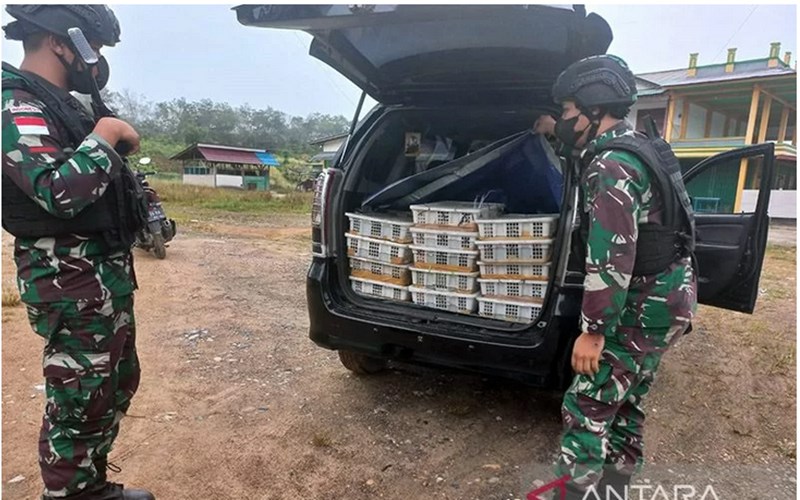  Anggota TNI Gagalkan Penyelundupan Ratusan Burung Kacer di Kalbar