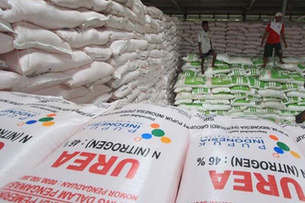  Pendapatan Petani Tergerus Harga Pupuk Urea yang Meroket