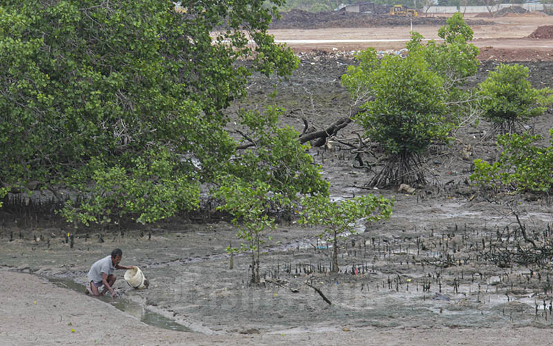  Penyusutan Lahan Mangrove di Pulau Batam