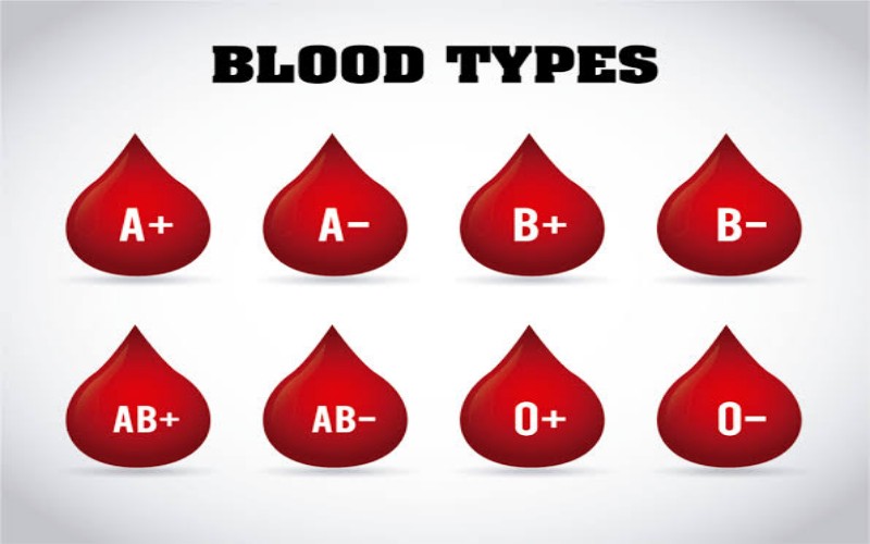 Ini Karakter Manusia dari Golongan Darah A, B, AB dan O