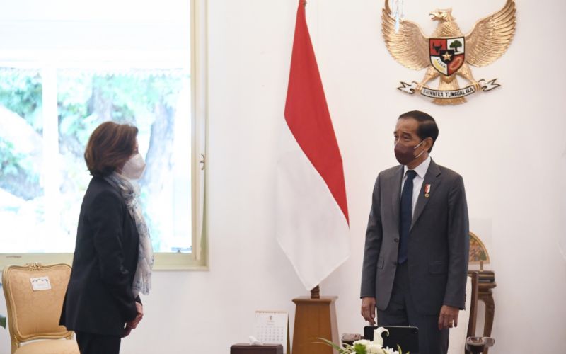  Jokowi Minta Dukungan Prancis Terhadap Presidensi G20 Indonesia