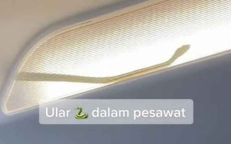 Tangkapan layar video viral yang menunjukkan adanya ular di dalam kabin pesawat AirAsia penerbangan Kuala Lumpur-Tawau/TikTok@edal8808