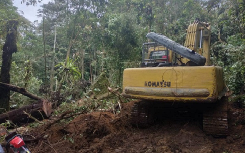  Pemprov Sumut Sita 2 Unit Alat Berat Perambah Hutan, Tapi Pelaku Belum Ditangkap