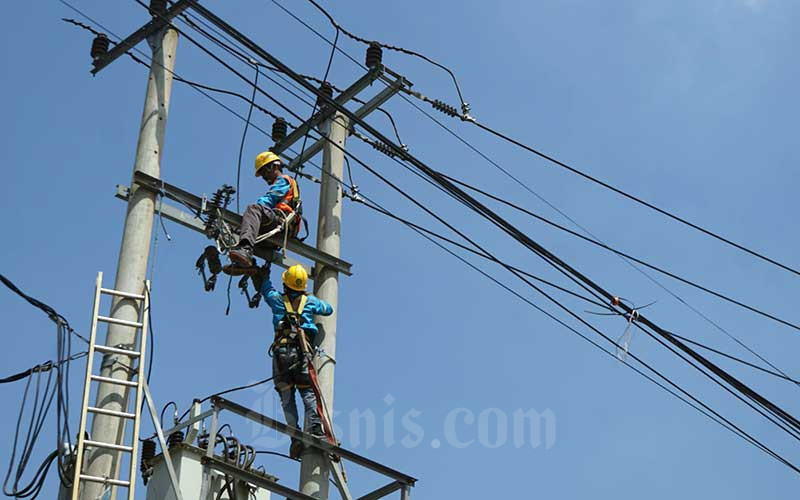  PLN Tetapkan Kebutuhan Pembangkit Listrik Tenaga EBT Base Load Sebesar 1,1 Gigawatt (GW)