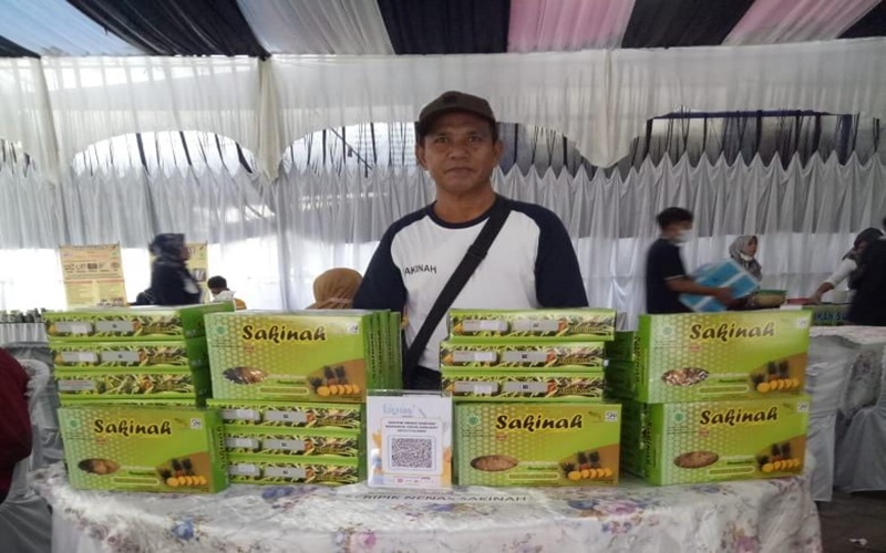 Mardanis pemilik kebun nanas dengan luas sekitar 3 hektare sukses membangun bisnis keripik nanas dengan produksi hingga 100 kilogram sebulan/Arif Gunawan