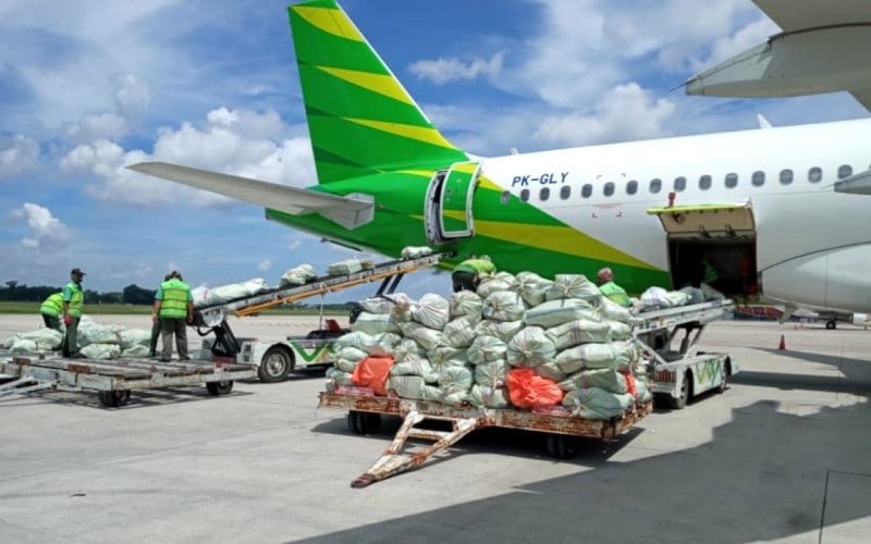  Tidur Panjang Pasar Kargo Udara Domestik