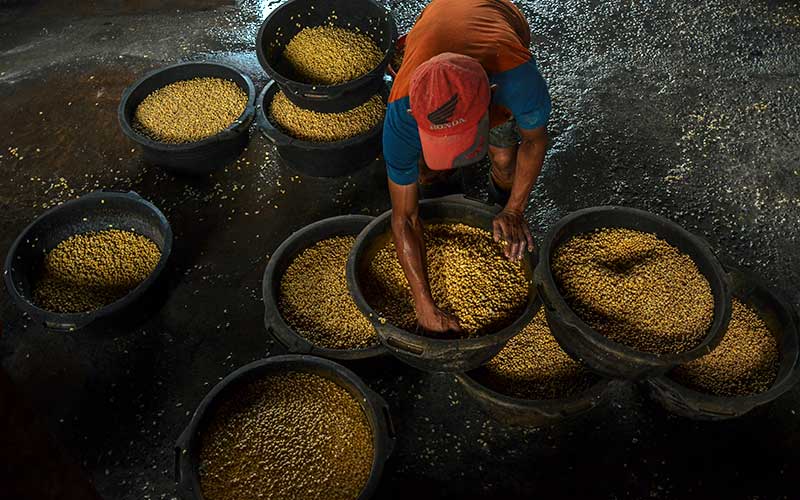  Harga Kedelai Terus Naik, Perajin Tahu Bulat Kecilkan Ukuran Produksi