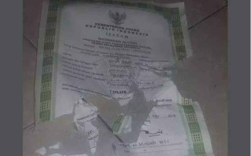  Viral Ijazah Dirusak Kucing Peliharaan, Ini Solusi Mengurusnya