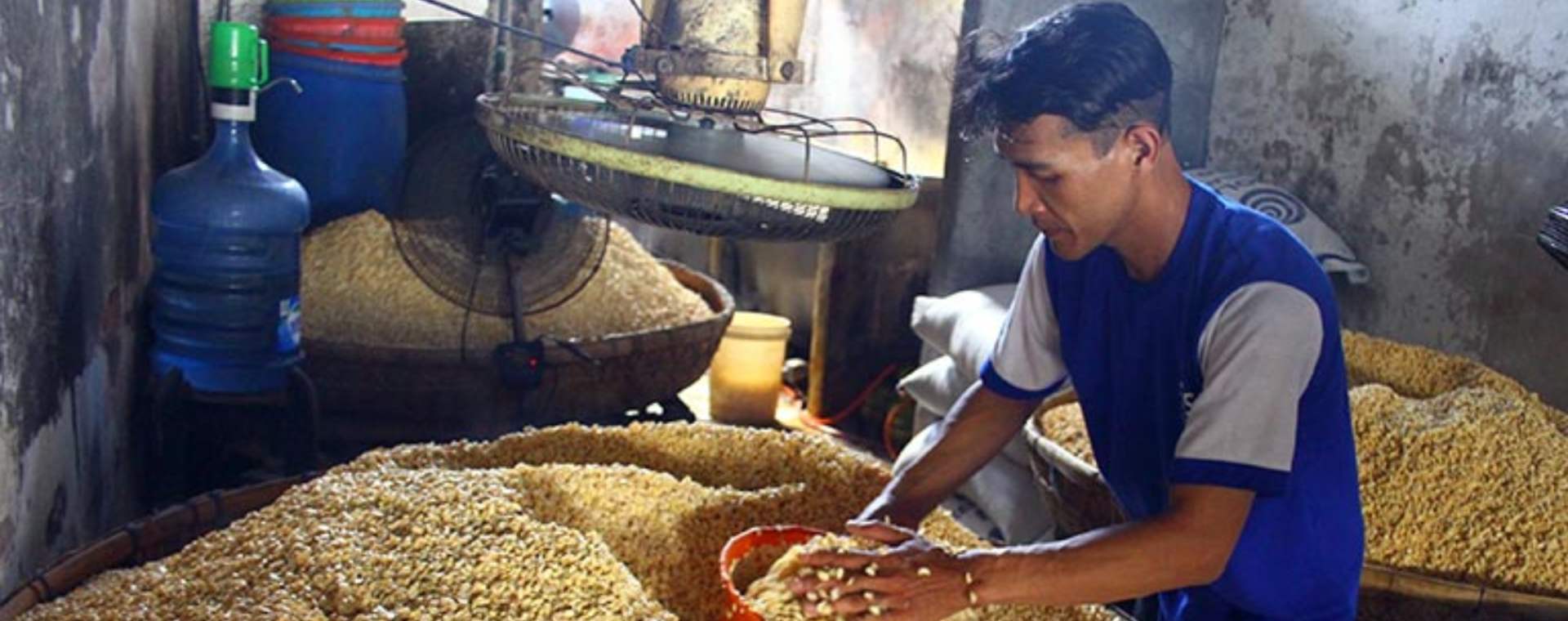  Kado Awal Tahun, Sengkarut Pangan Terulang Mulai Minyak Goreng hingga Kedelai