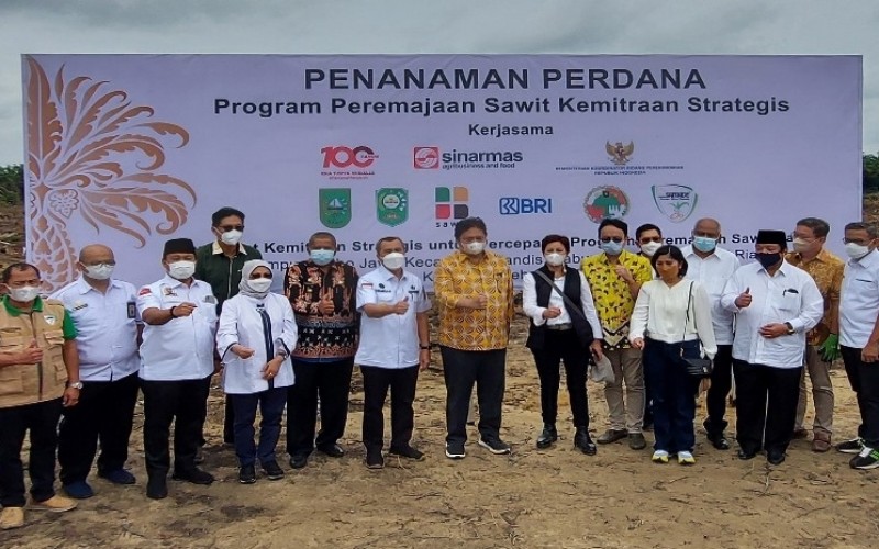  Menko Airlangga: Peremajaan Sawit Rakyat Tahun Ini Ditargetkan 180.000 Hektare