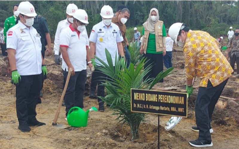  Sinarmas Dukung Peremajaan Sawit Rakyat Seluas 2.100 Ha di Riau