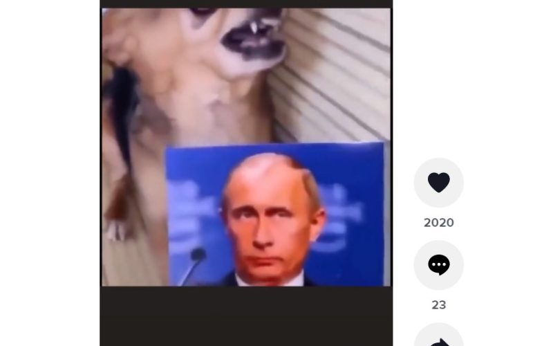  Konflik Rusia Ukraina, Pengguna Twitter dan TikTok Sindir Presiden Rusia Putin