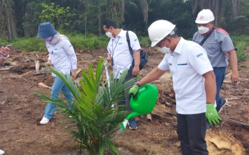  Airlangga: KUR Peremajaan Sawit Bantu Petani Kecil, Tak Perlu Bayar Angsuran 5 Tahun