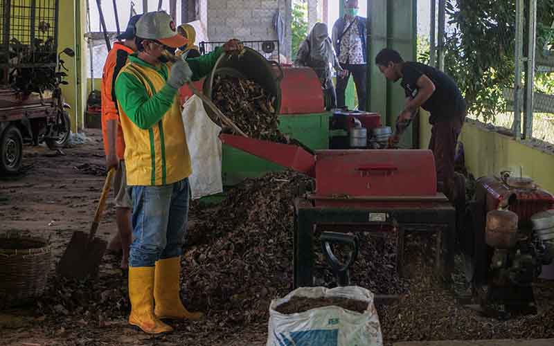  Dinas Lingkungan Hidup Jawa Tengah Mengolah Sampah Daun Jati Menjadi Pupuk Kompos