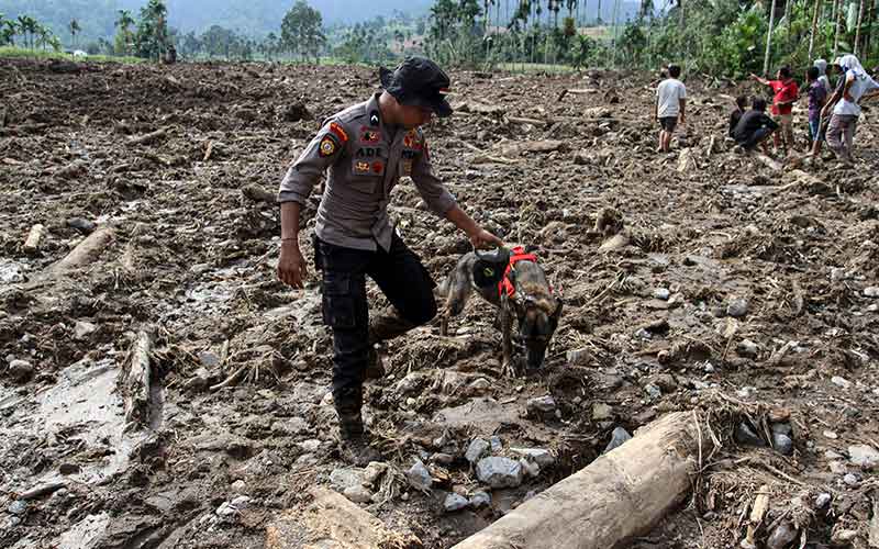  Tim SAR Gabungan Terus Lakukan Pencarian Korba Tanah Longsor di Pasaman